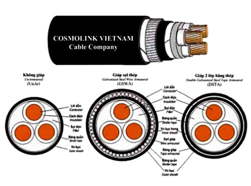 Cáp Cosmolink 3 lõi cách điện PVC 0.6/1 kV